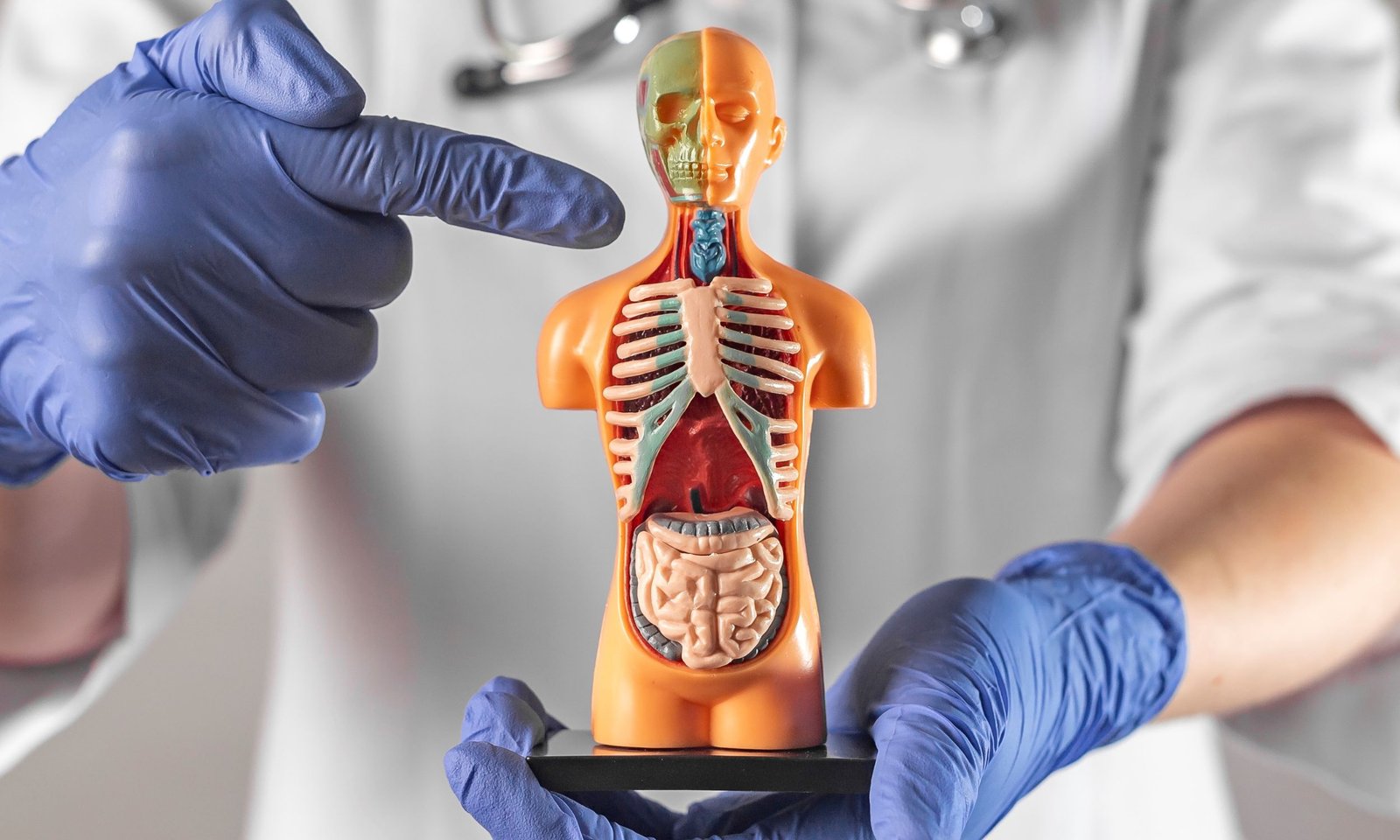 Enfermedades profesionales